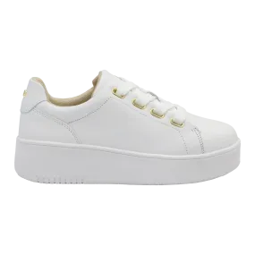 Avanti - White Gold